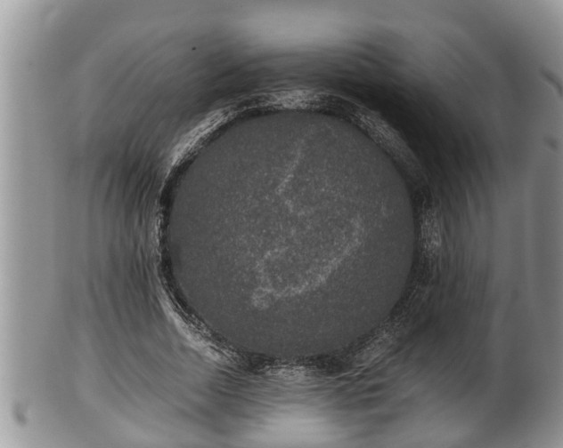 X0000102300730200808011539