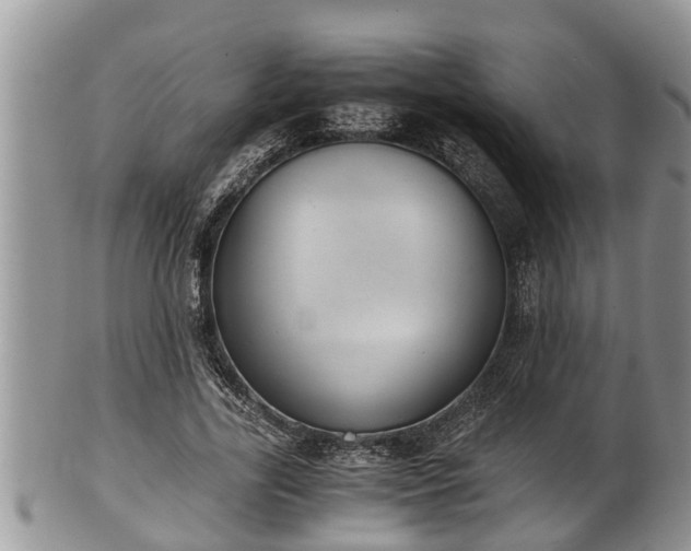 X0000102300731200808011539