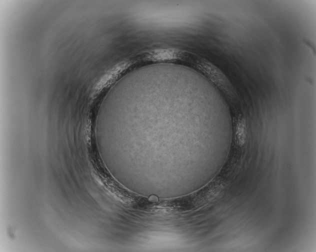 X0000102300732200808011539