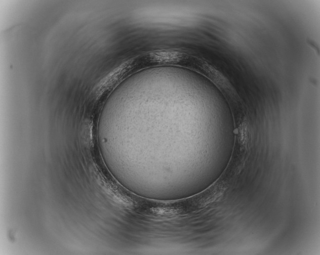 X0000102300733200808011539