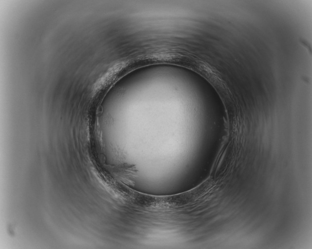 X0000102300734200808011539