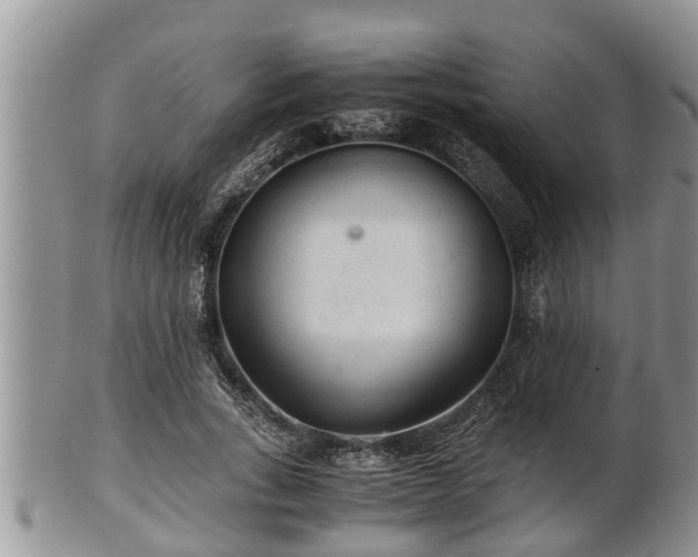 X0000102300735200808011539