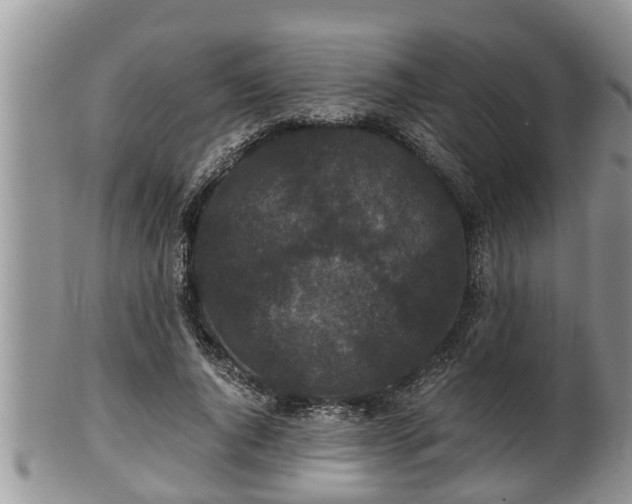 X0000102300736200808011539