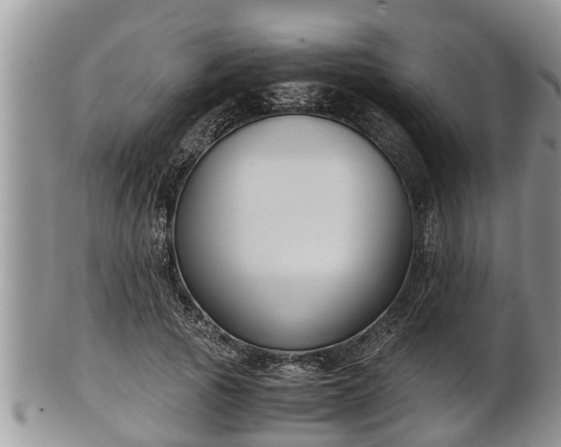 X0000102300737200808011539