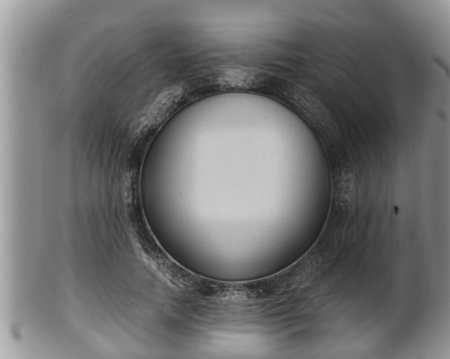 X0000102300738200808011539