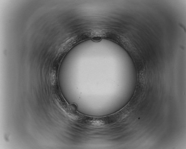 X0000102300741200808011539