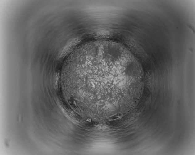 X0000102300742200808011539