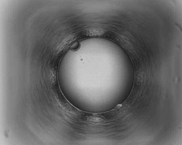 X0000102300743200808011540