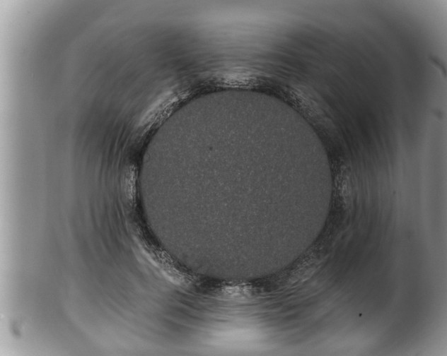 X0000102300744200808011540