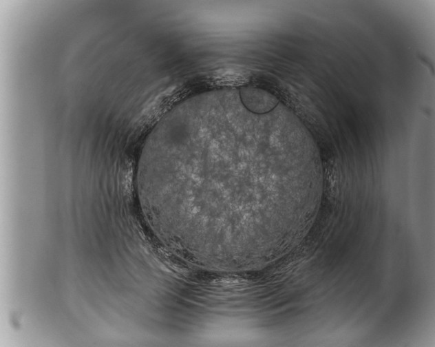 X0000102300745200808011540