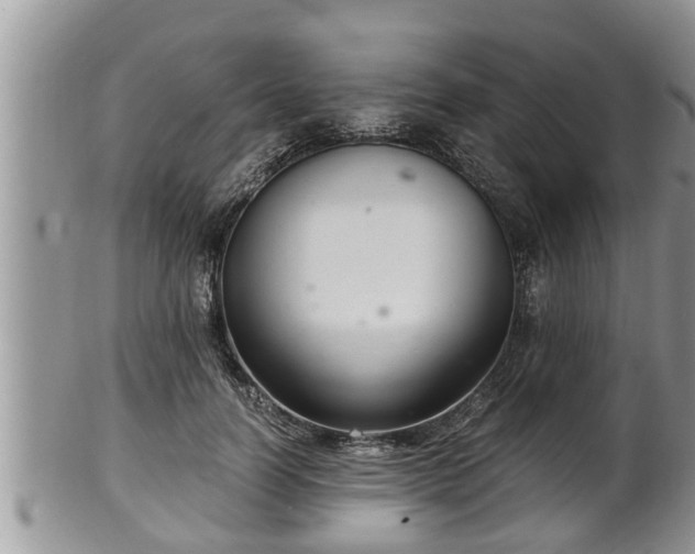 X0000102300746200808011540