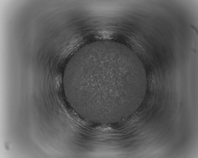 X0000102300747200808011540