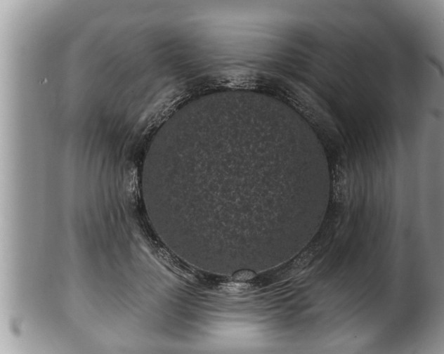 X0000102300748200808011540