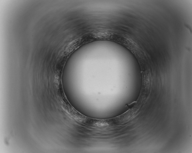 X0000102300749200808011540