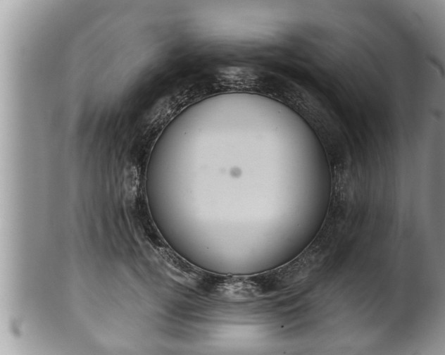 X0000102300752200808011540