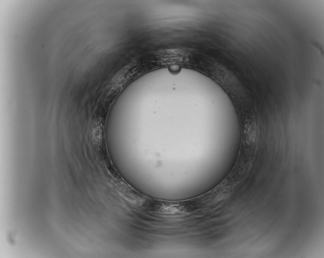 X0000102300753200808011540