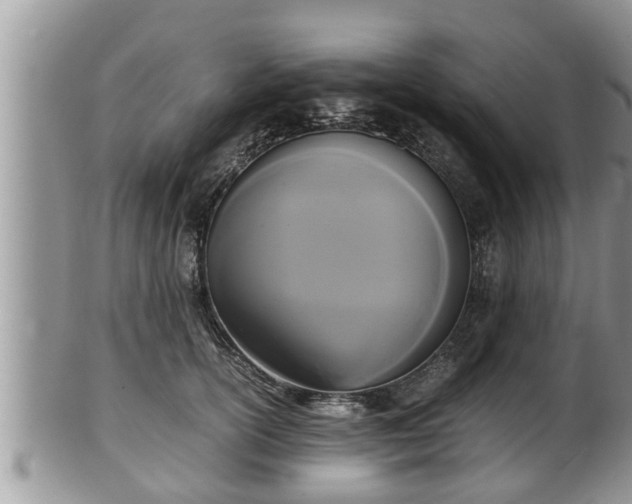 X0000102300754200808011540