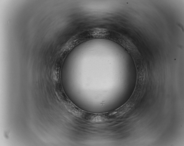 X0000102300755200808011540