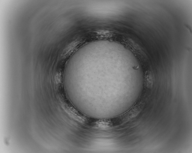 X0000102300756200808011540