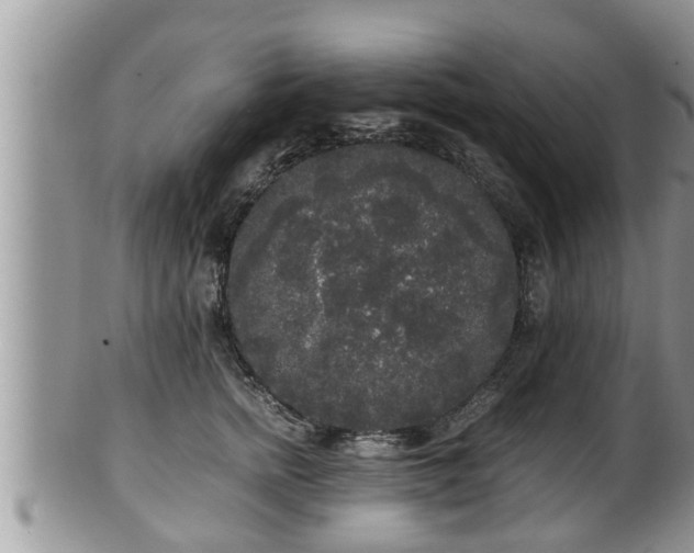 X0000102300758200808011540