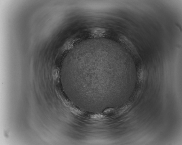 X0000102300759200808011540