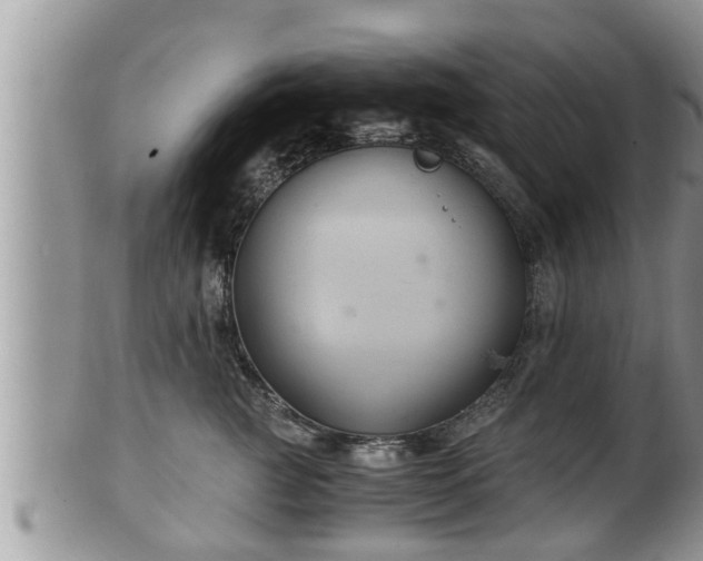 X0000102300761200808011540