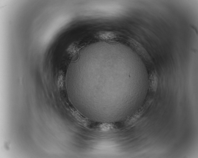 X0000102300762200808011540