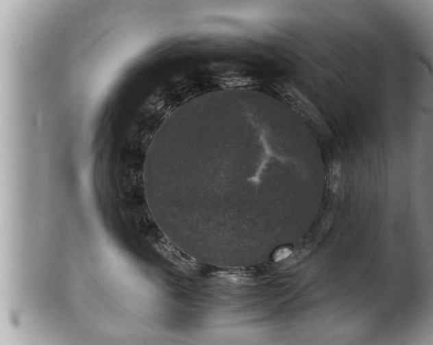 X0000102300763200808011540