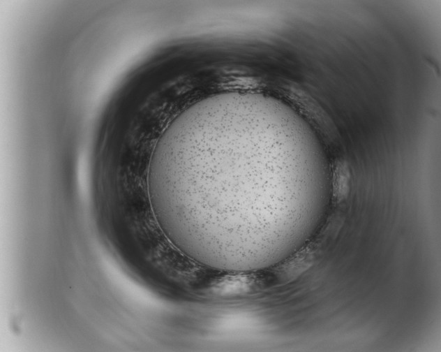 X0000102300764200808011540