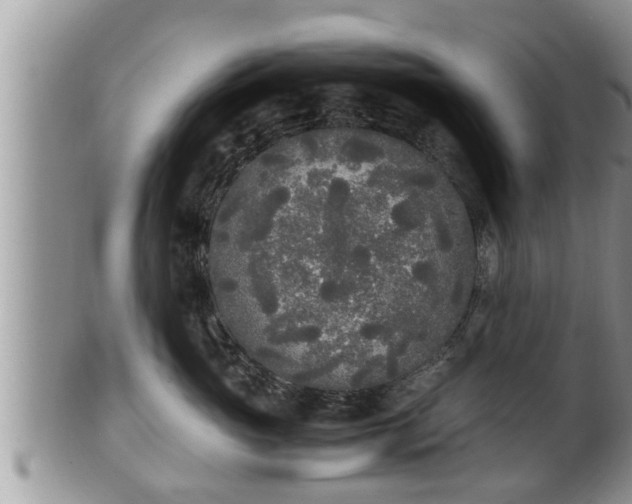 X0000102300765200808011540