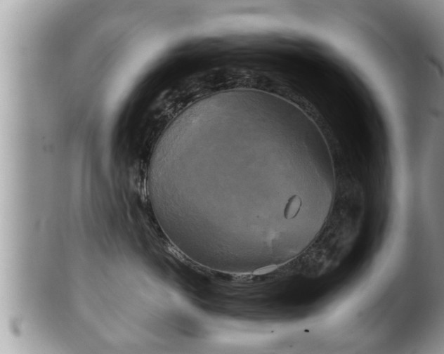 X0000102300766200808011540