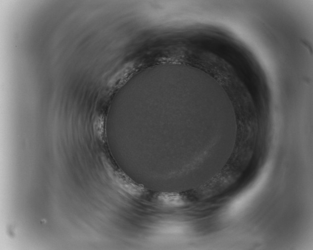 X0000102300767200808011540