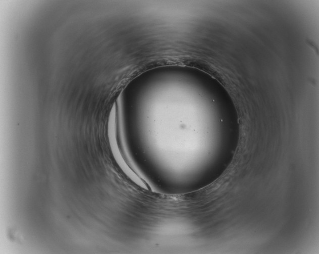 X0000102300768200808011540