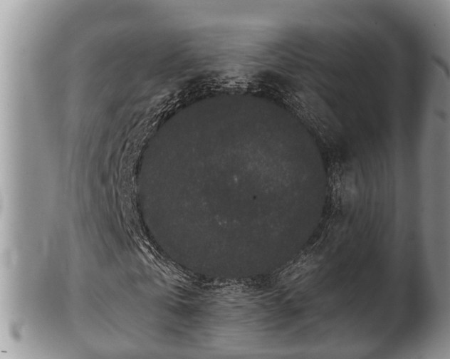 X0000102300769200808011539