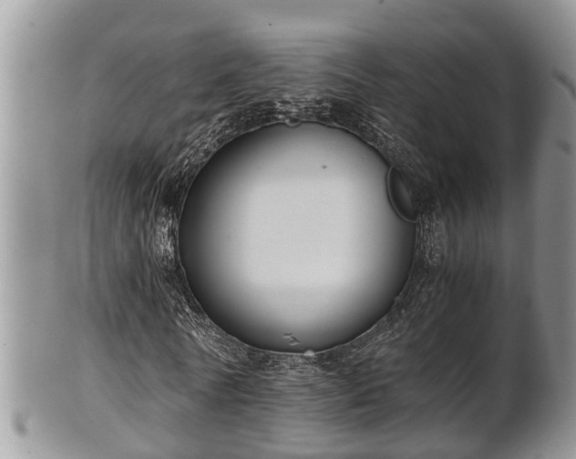 X0000102300770200808011539