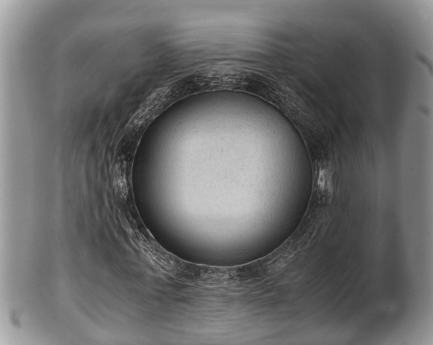 X0000102300771200808011539