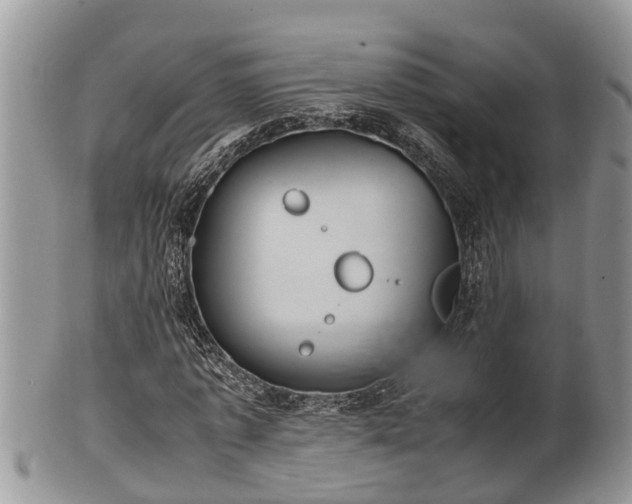 X0000102300773200808011539