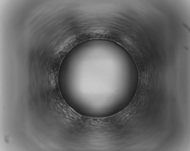 X0000102300774200808011539