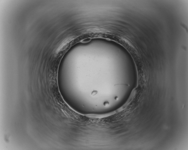 X0000102300775200808011539