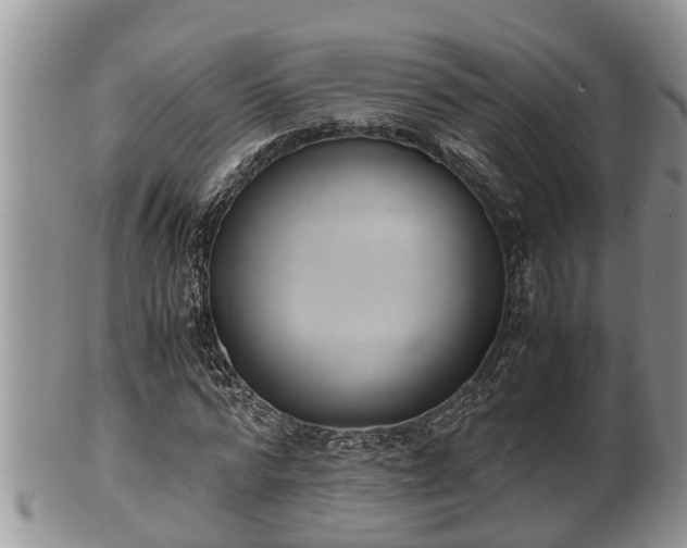 X0000102300776200808011539