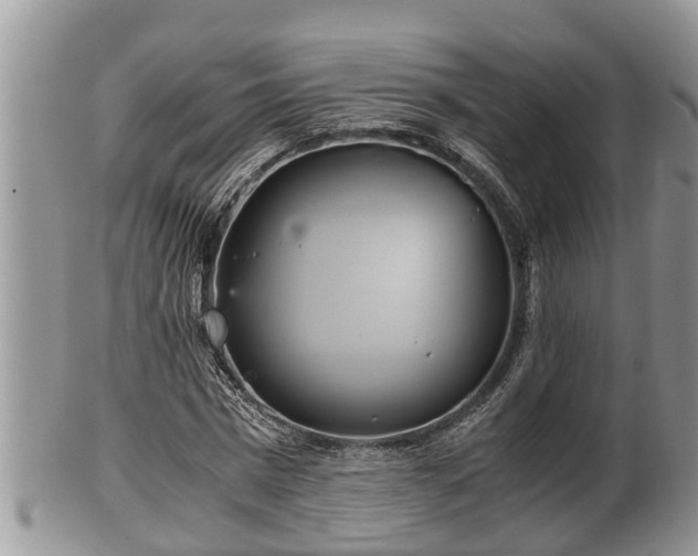 X0000102300777200808011539