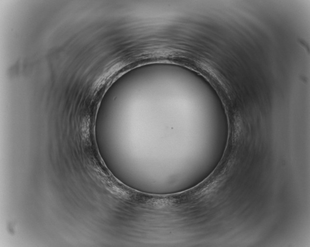 X0000102300778200808011539