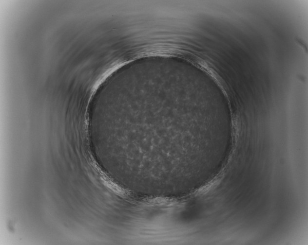 X0000102300779200808011539