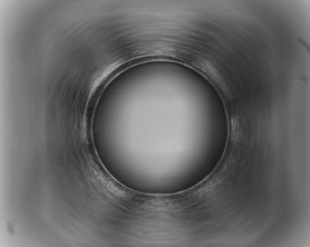 X0000102300780200808011539