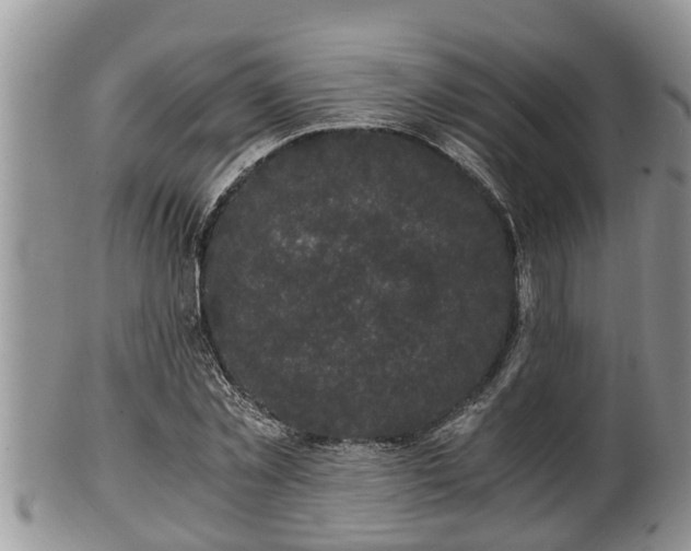 X0000102300781200808011539