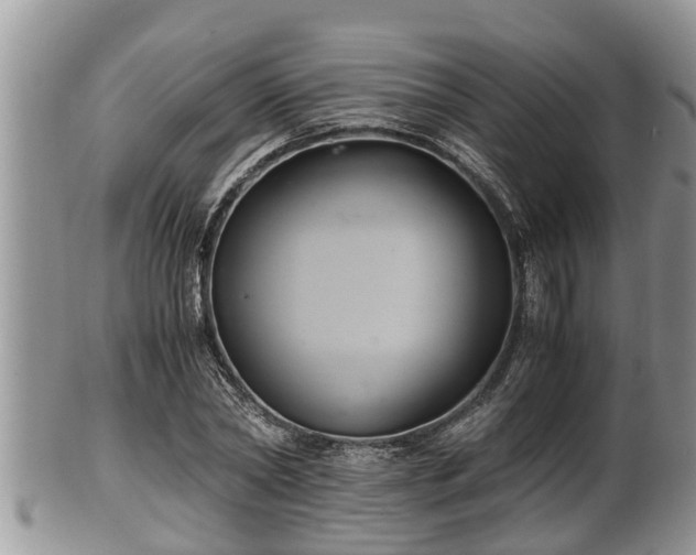 X0000102300782200808011539