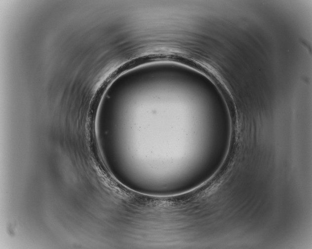 X0000102300783200808011539