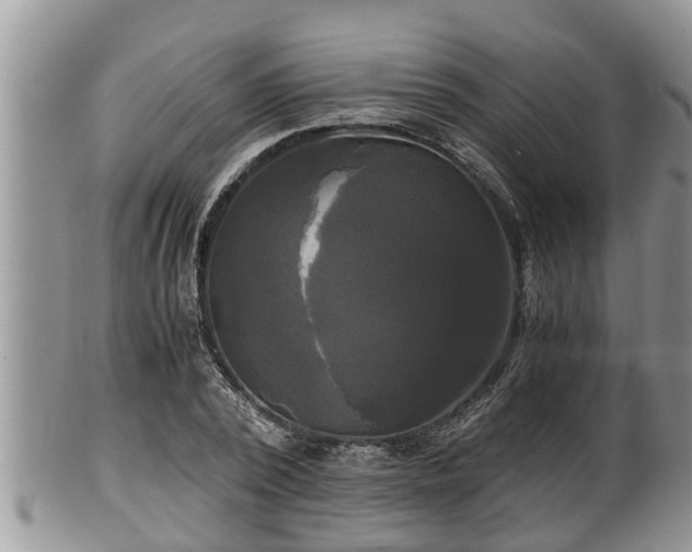 X0000102300784200808011539