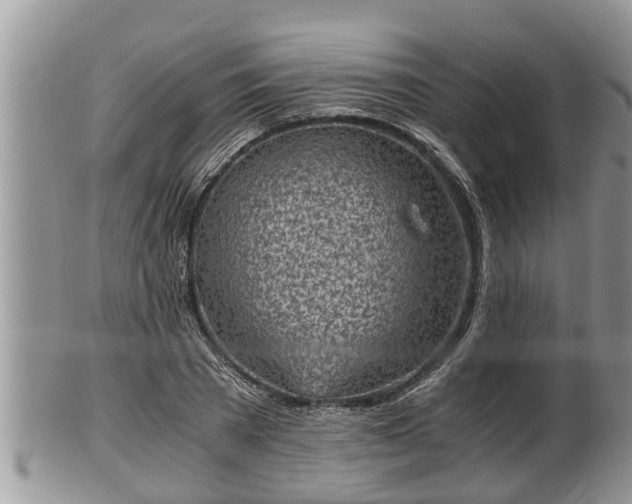 X0000102300785200808011539