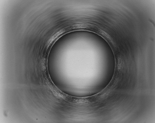 X0000102300786200808011539